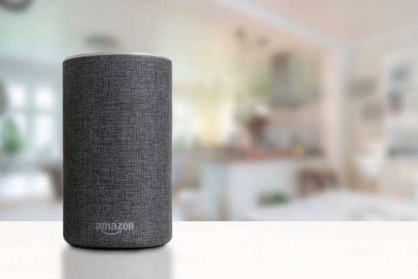 Amazon Alexa, Voice assistannt