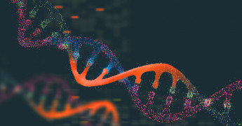 DNA, Genome, Medical Research
