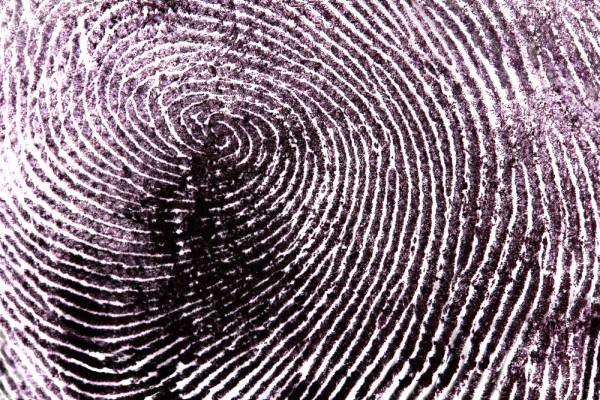 Biometric, fingerprint